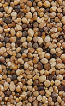 Resin bound colour swatch